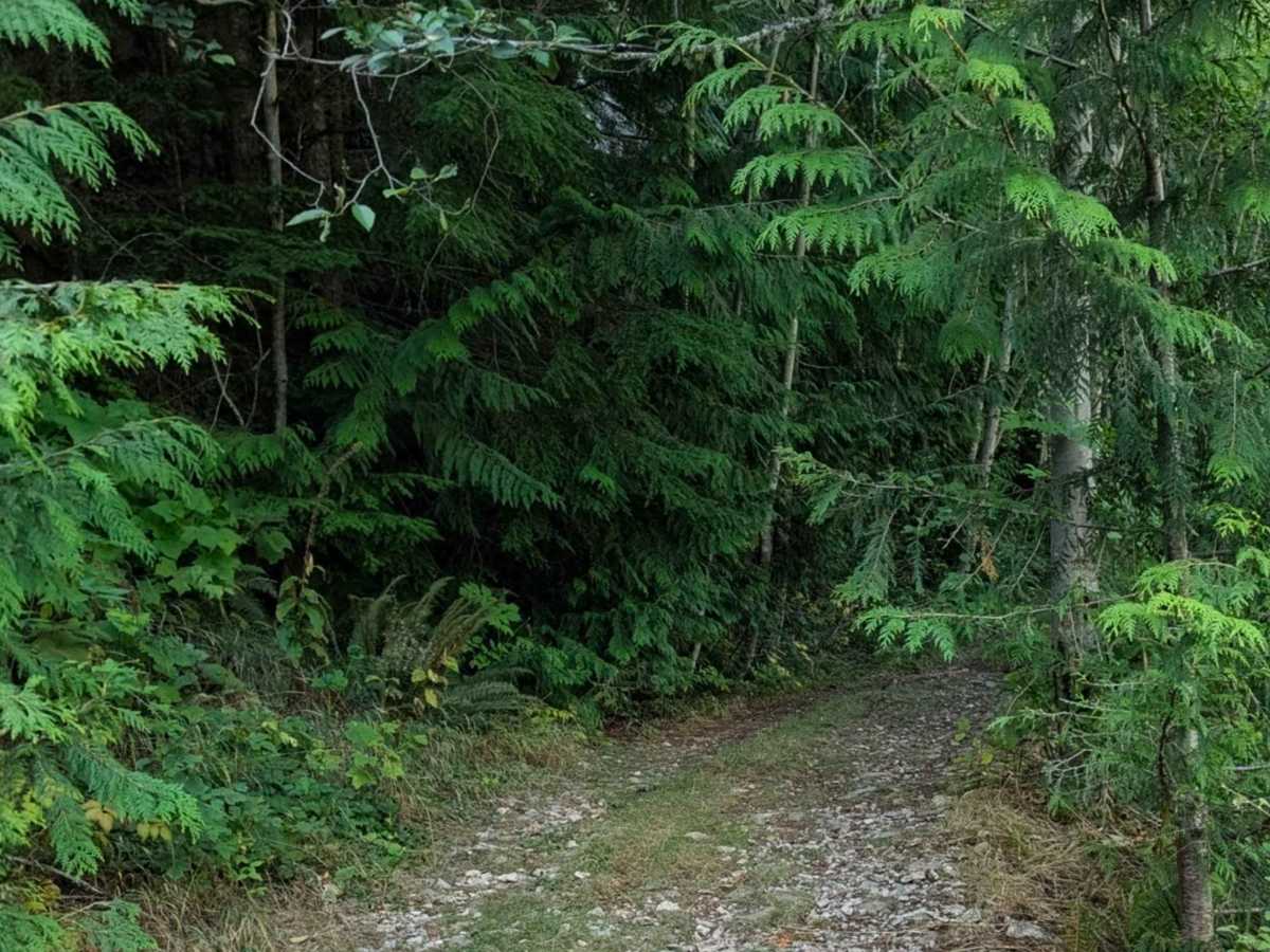 Middle Fork photo 6
