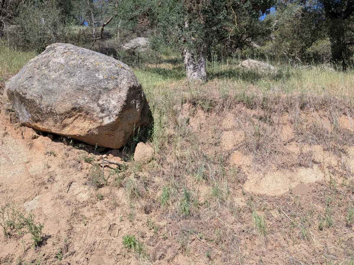 Coffee Creek Road photo 5