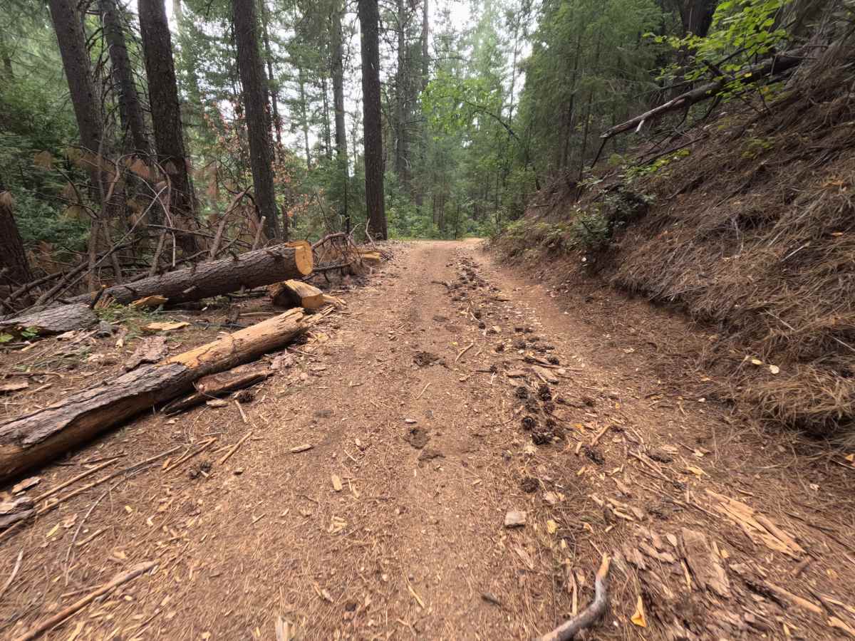 Squirrel Creek - FS 64 trail photo