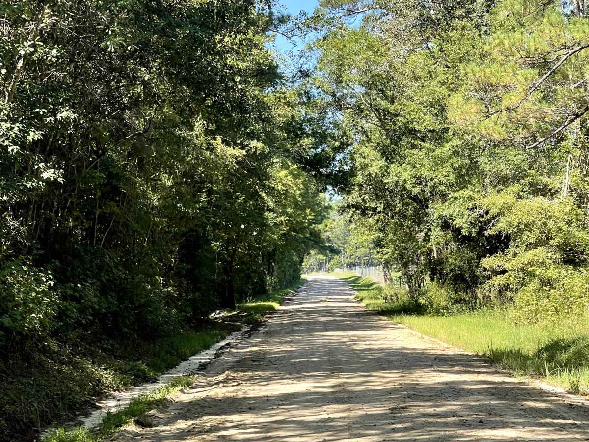 Lee Buck Road photo 4