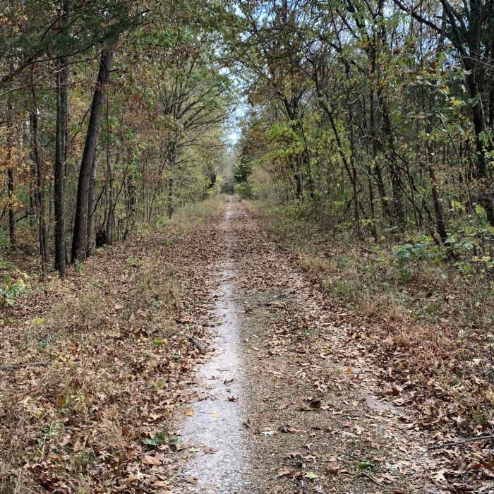 Near Lost Valley Trail - Long Loop
