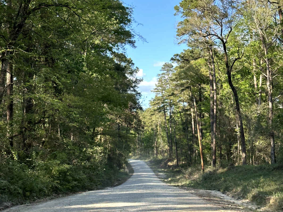 County Road 1165 photo 3