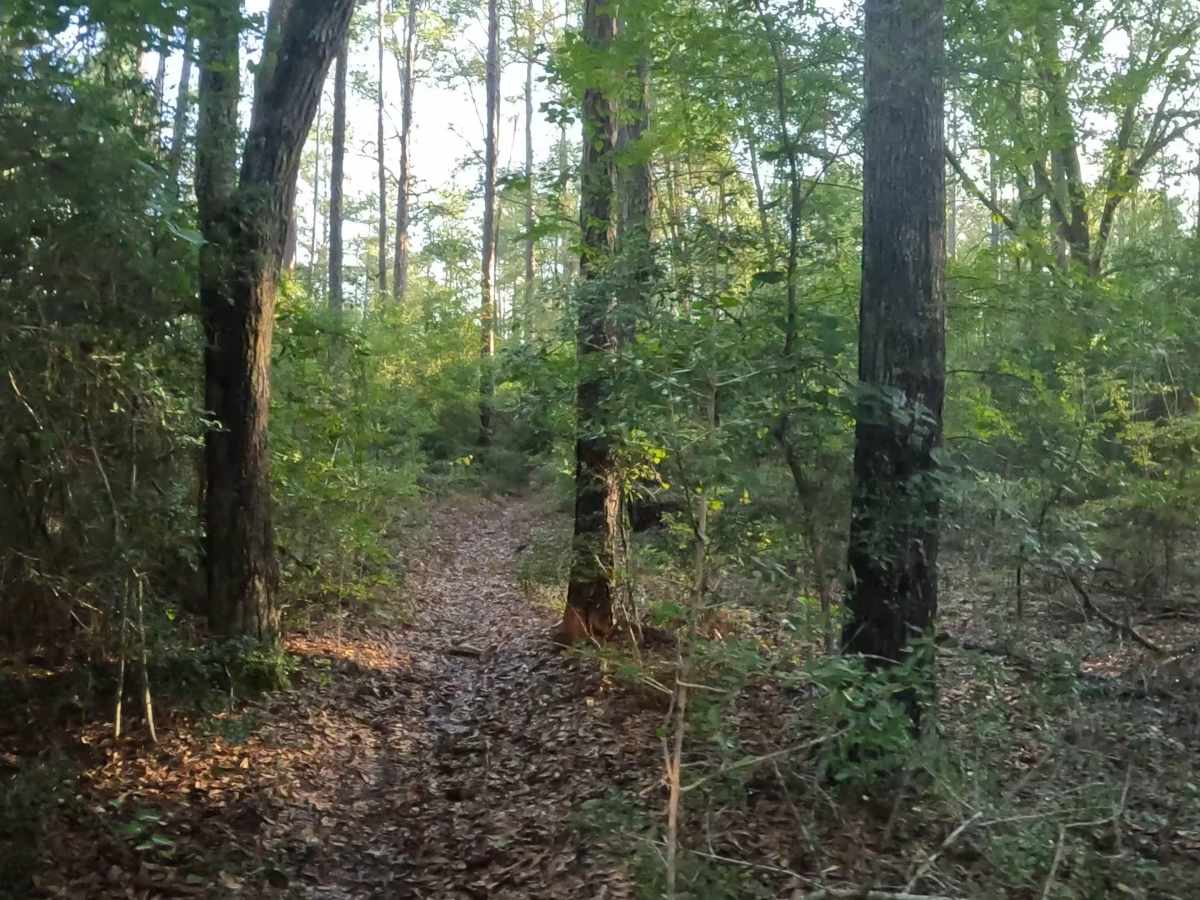 Southeast - FS 15 photo 5