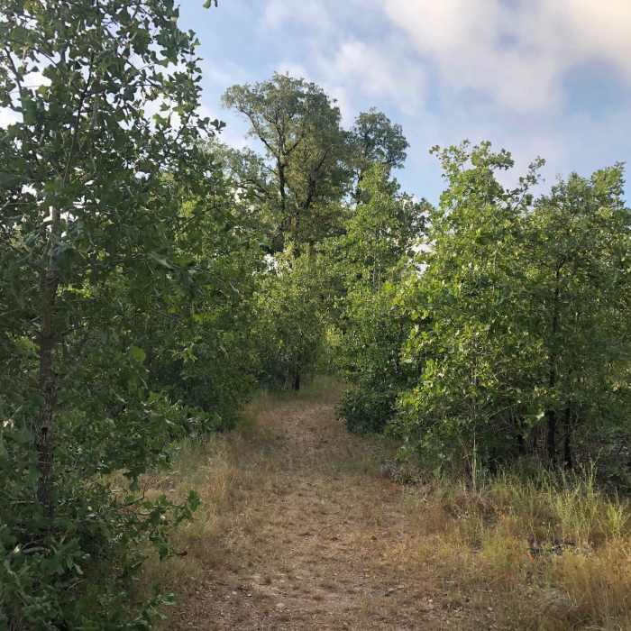 Near Bobcat Ridge Trail