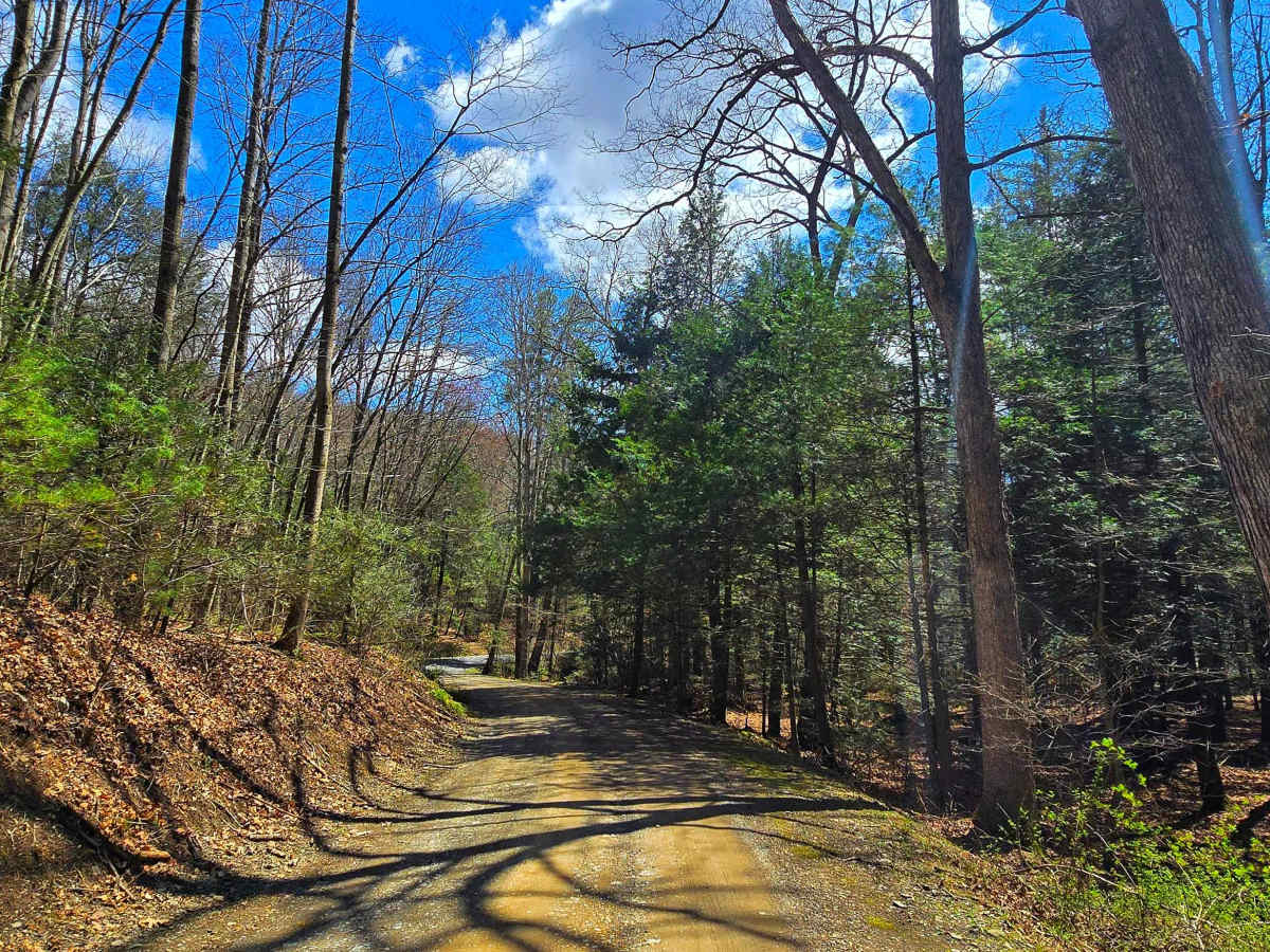 Wirt Road photo 5
