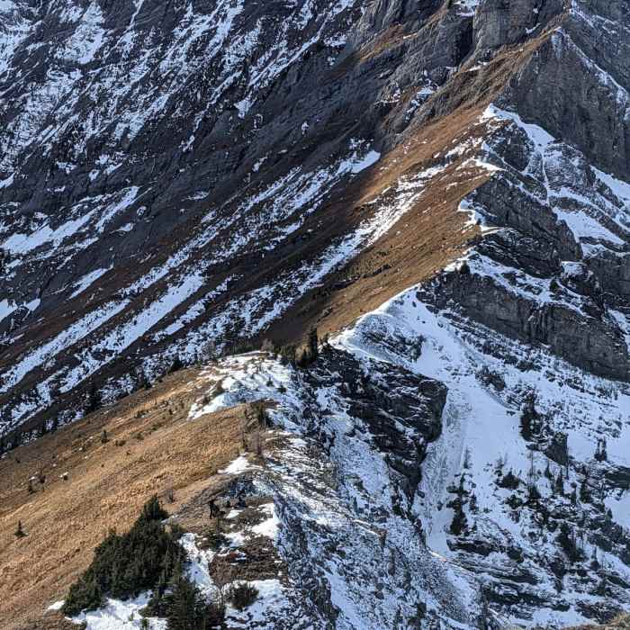 Near Sarrail Ridge Trail