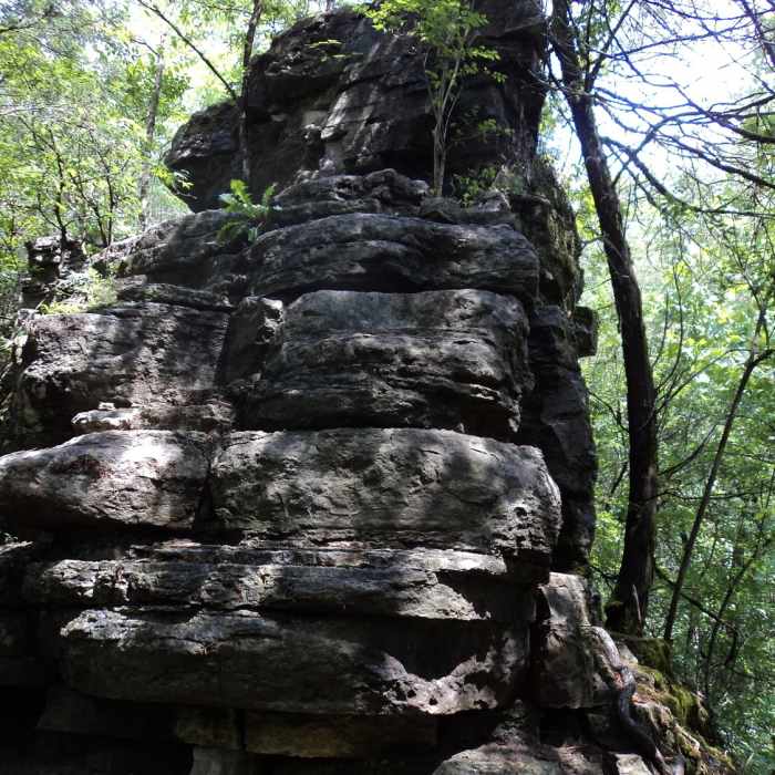 Near Hidden Lake Ridge Loop