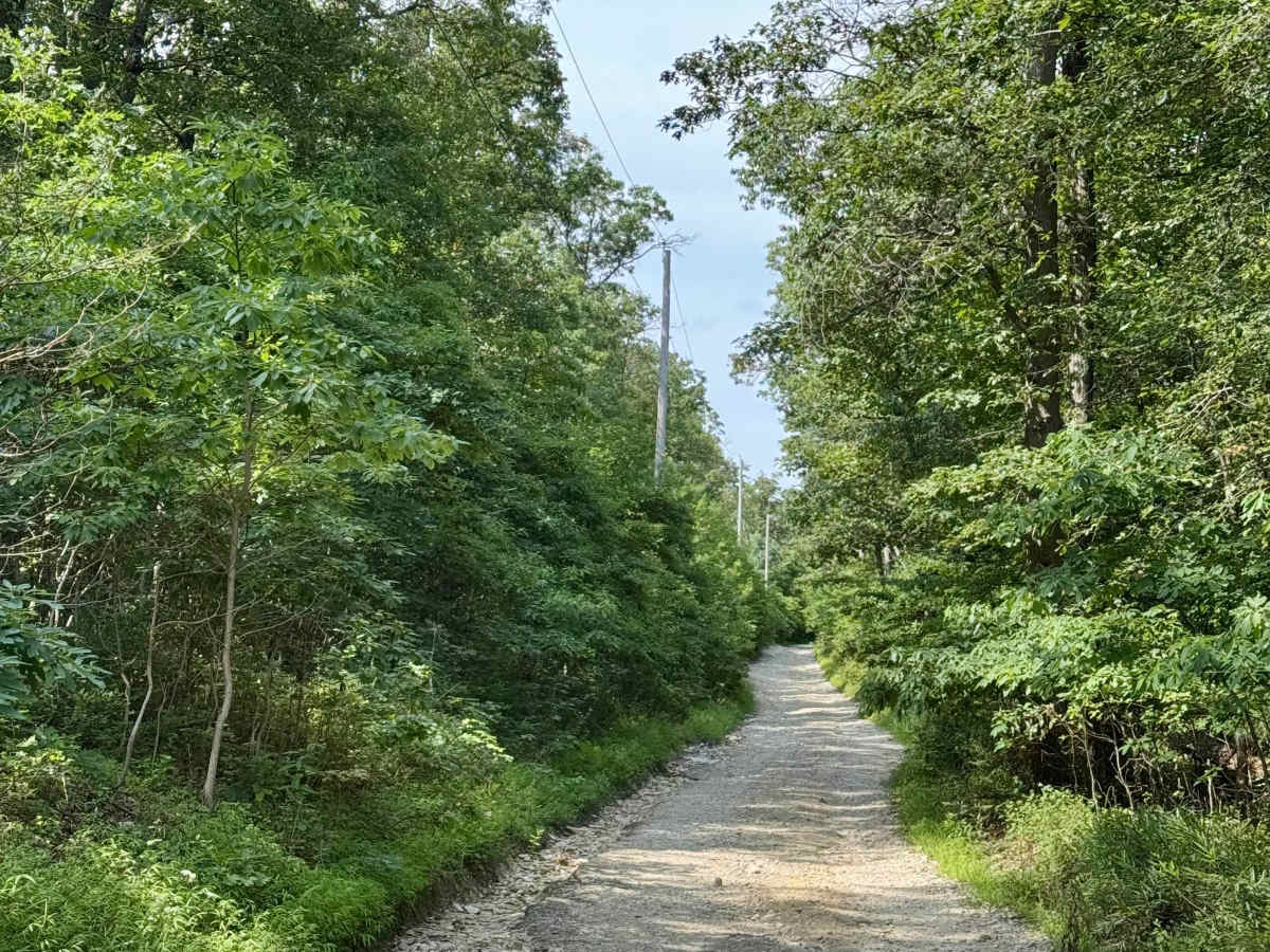 Ridge Road (North) photo 2