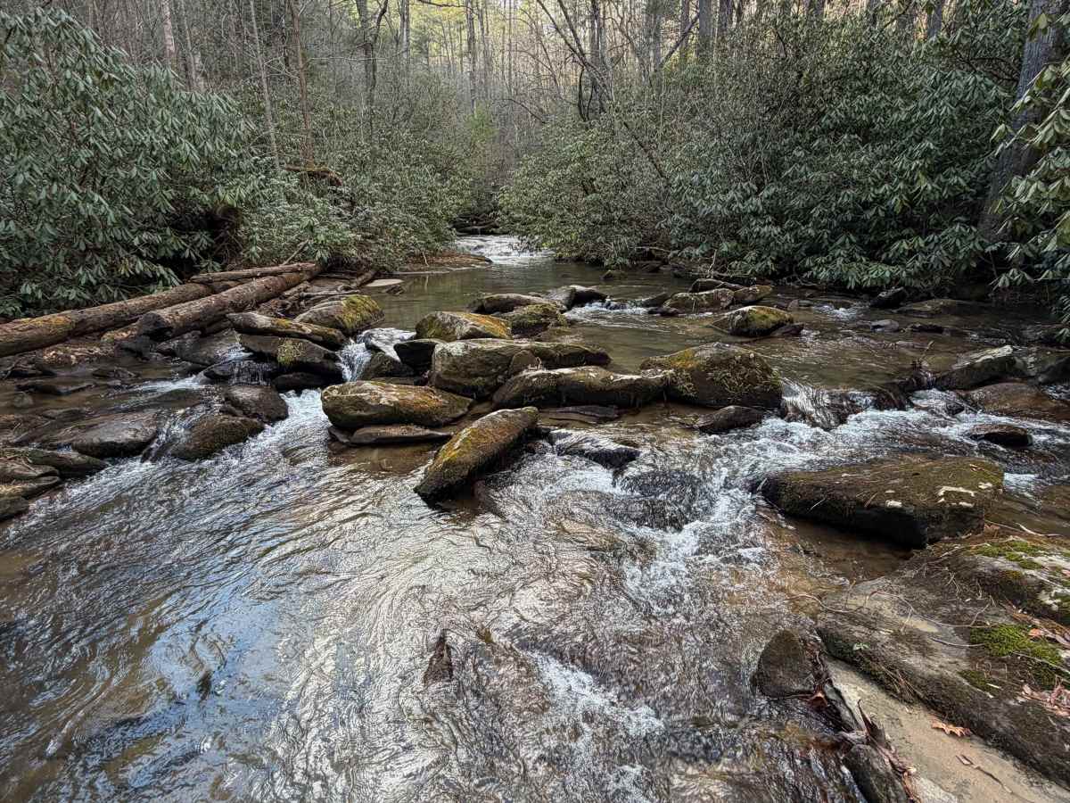 Timpson Creek - FS 162 trail photo