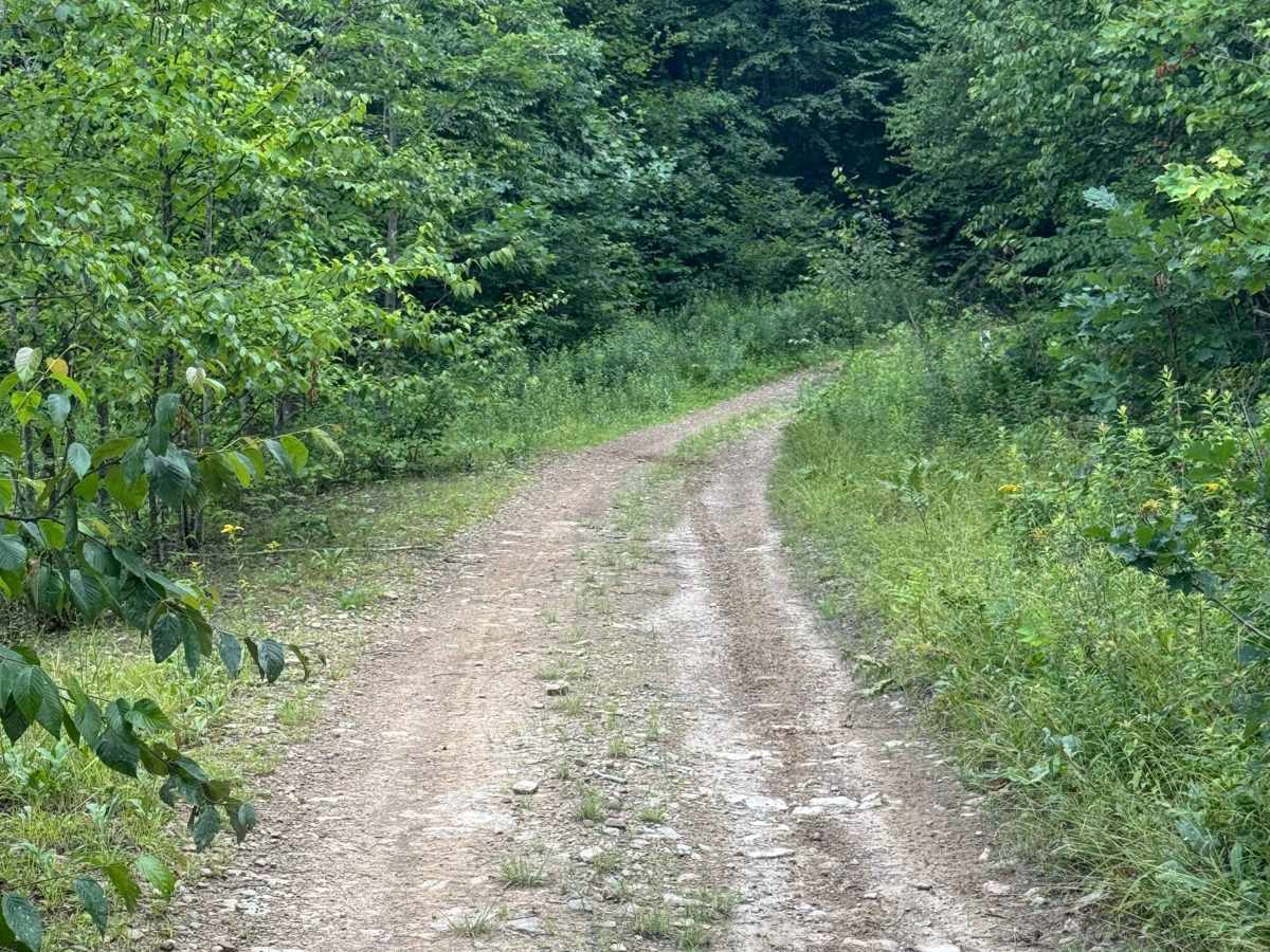 Trail 82 photo 4