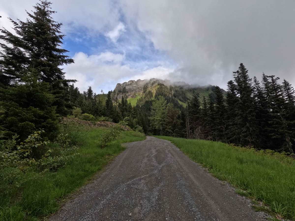 Sauk Mountain Road - FS 1036 photo 3
