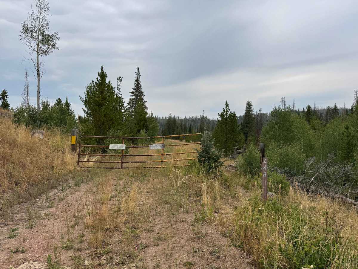Morgan Creek Road - FS 442 photo 5