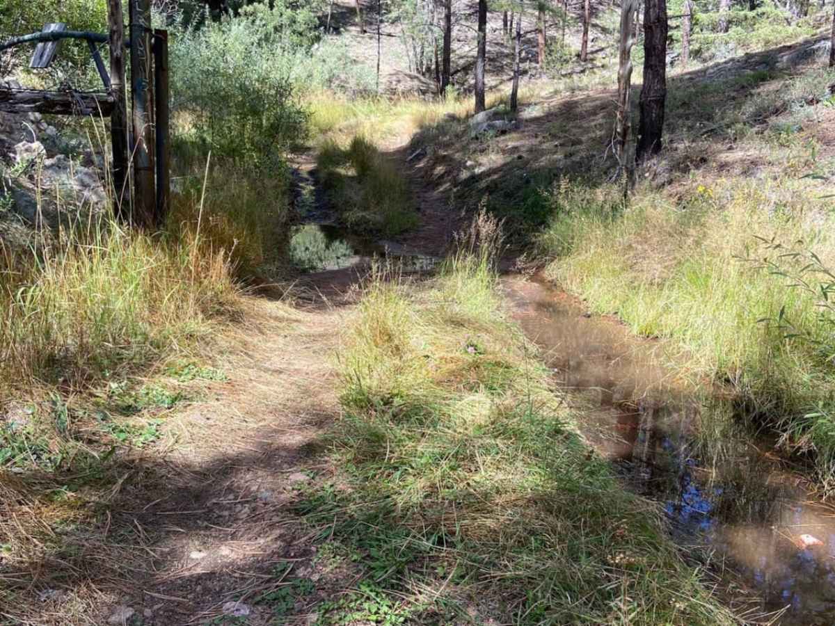 Arroyo Hondo Forest Service 79 photo 4