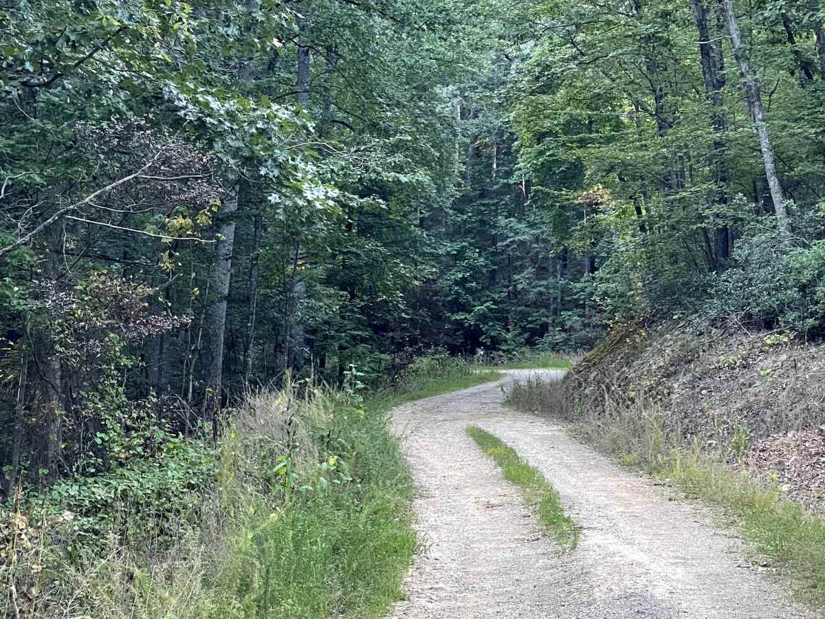 Mill Creek Road trail photo