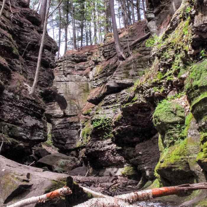 Near Parfrey's Glen Natural Area Near Parfrey's Glen Natural Area