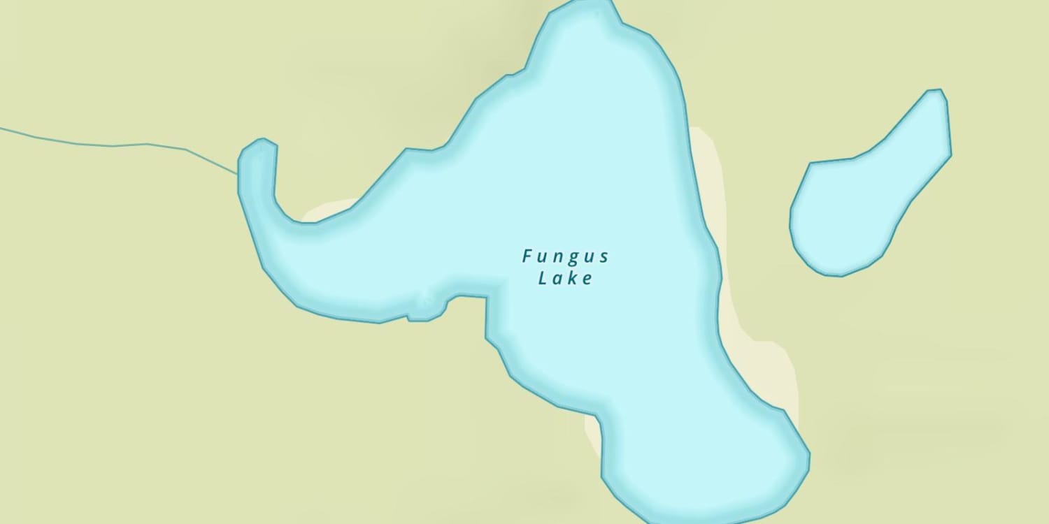 Fungus Lake