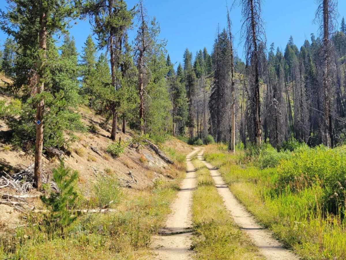 Skyline Trail trail photo