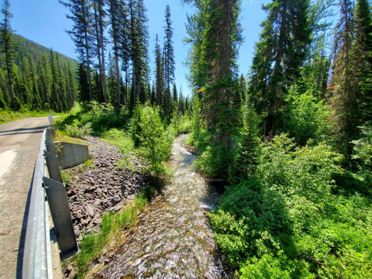 Red Meadow Creek trail photo