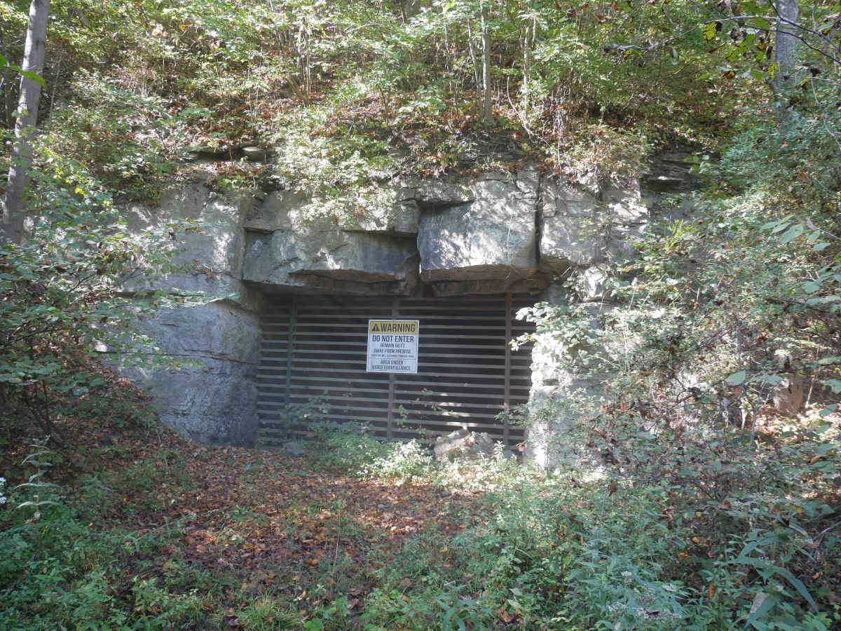 Trail 2 photo 4