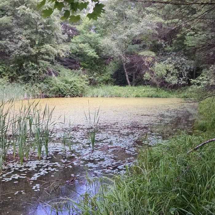 Near Little Bear State Park Loop