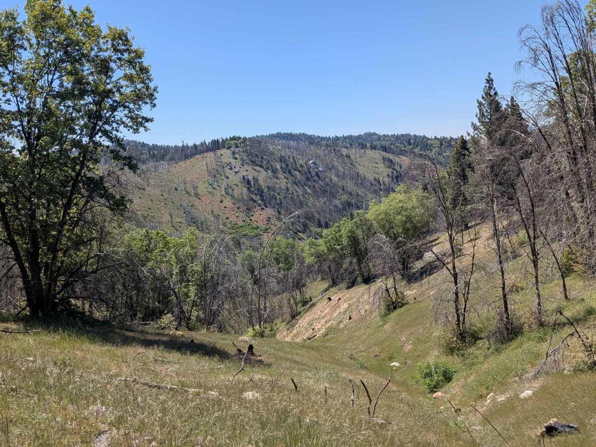 Little Poso Creek - FS 26S12 photo 4