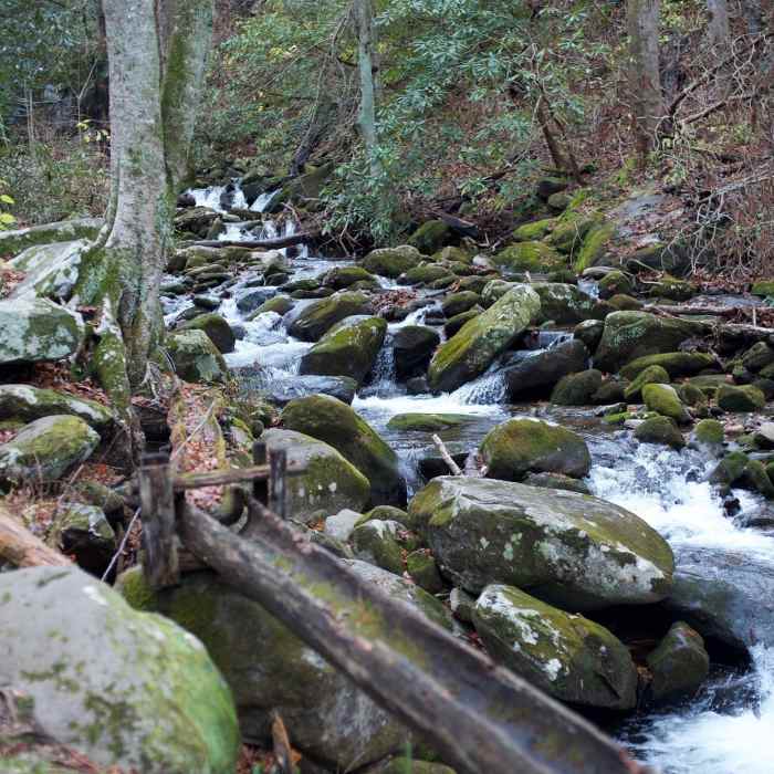Leconte Creek flows along the mill, providing power to the mill. You can see the log used to divert water from the creek into the mill. Near Twin Creeks Trail