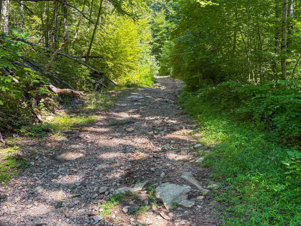 Shenipsit Trail System trail photo