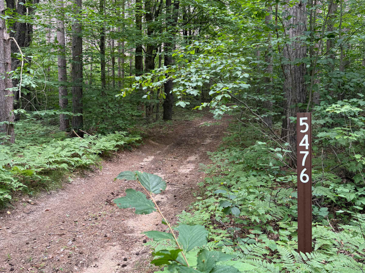 FS 5476 trail photo