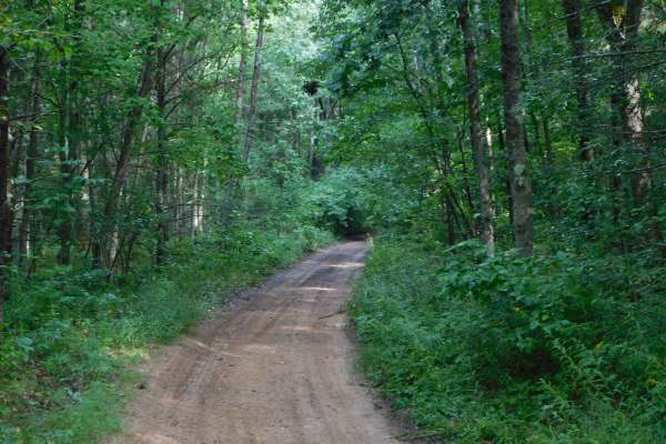 Forest Service Road 5296