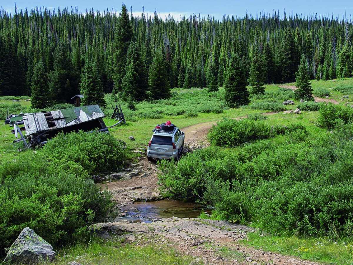 Grizzly Jeep Trail photo 5