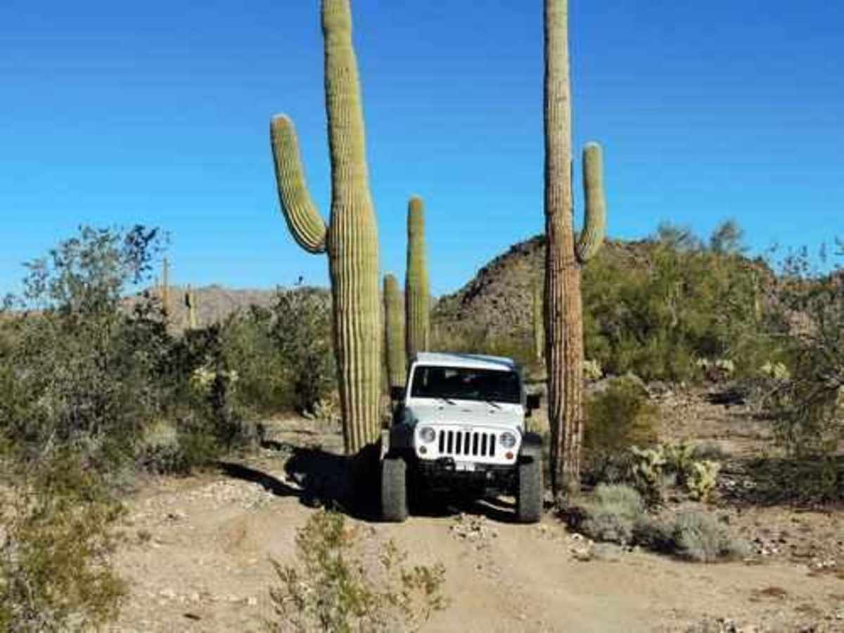 Tank Pass trail photo