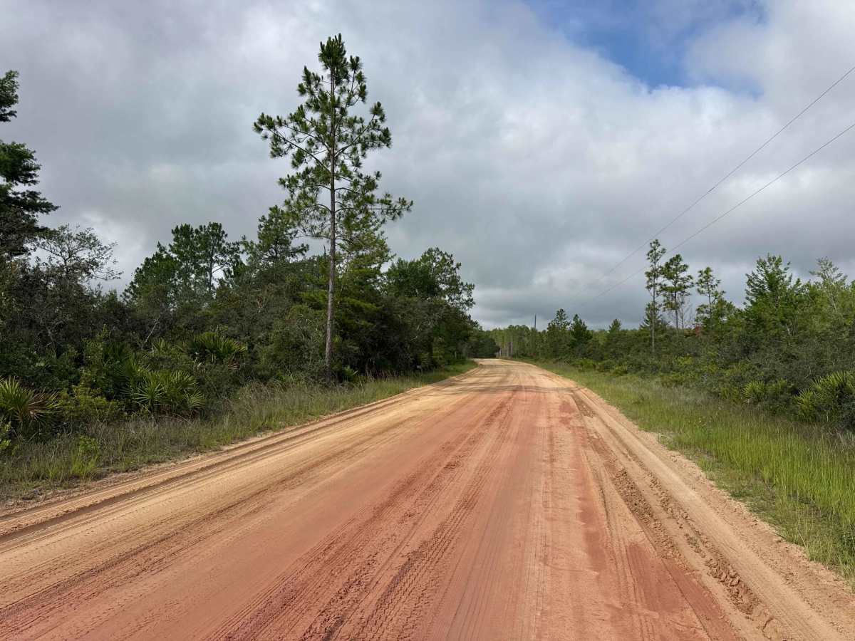 Blue Creek Lodge Road photo 3