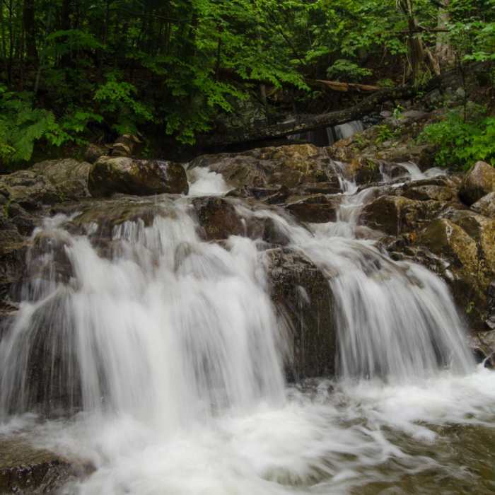 Near Stag Brook Trail Near Stag Brook Trail