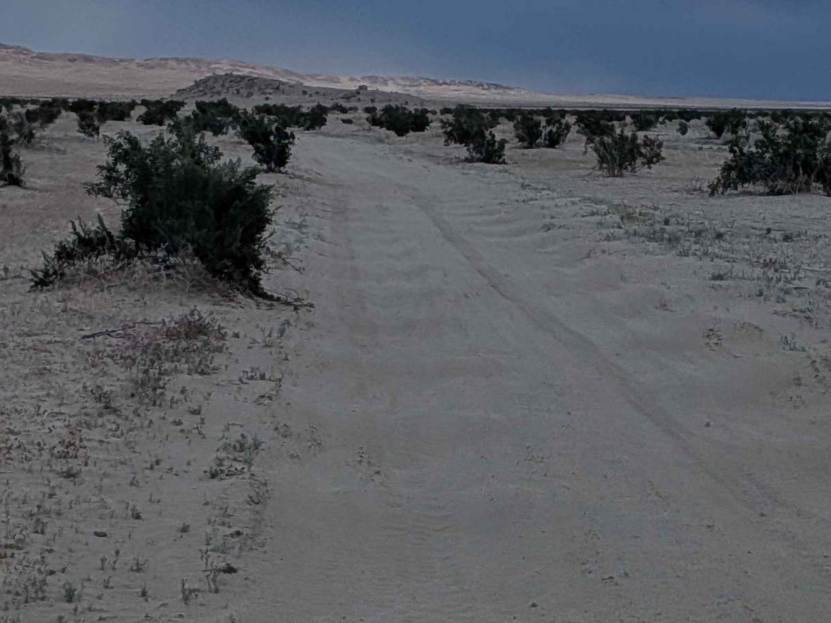 BLM 200 photo 2