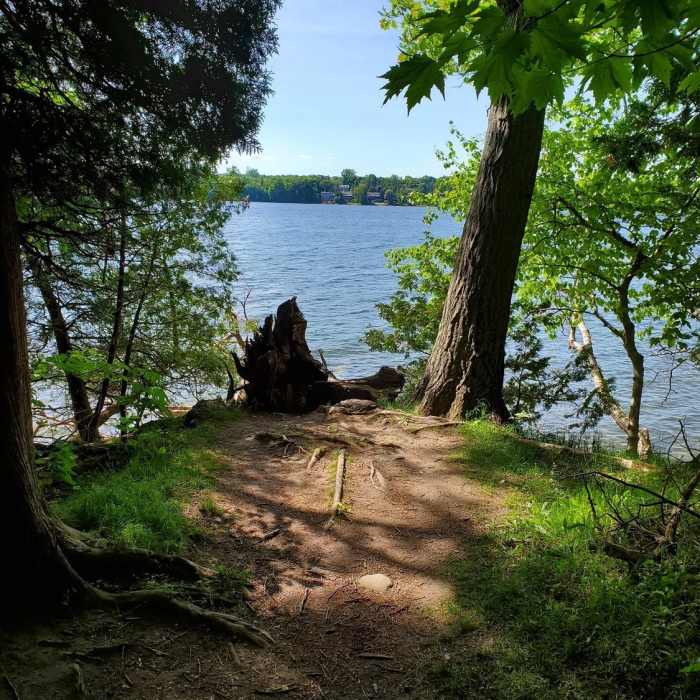 Lookout over Collins Bay Near Lemoine Point Loop