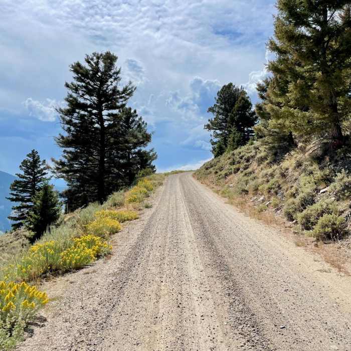 Near Continental Divide Trail: Montana-Idaho Section 9