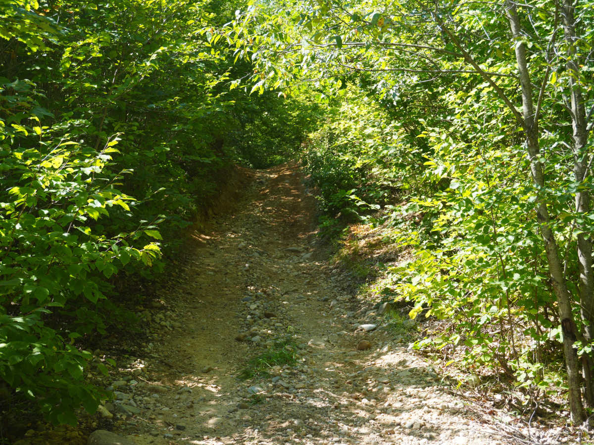 Southlook Trail photo 4