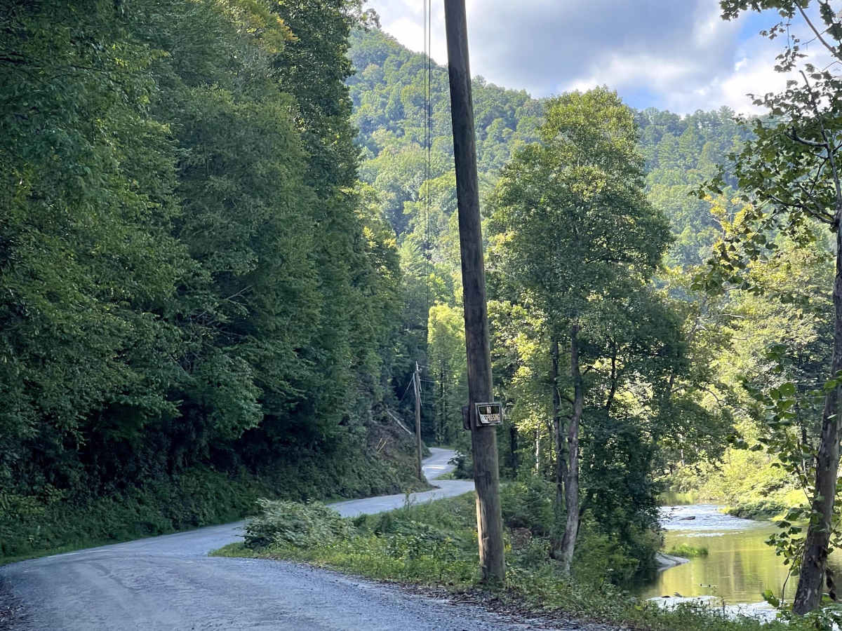 Wilson Creek  photo 2