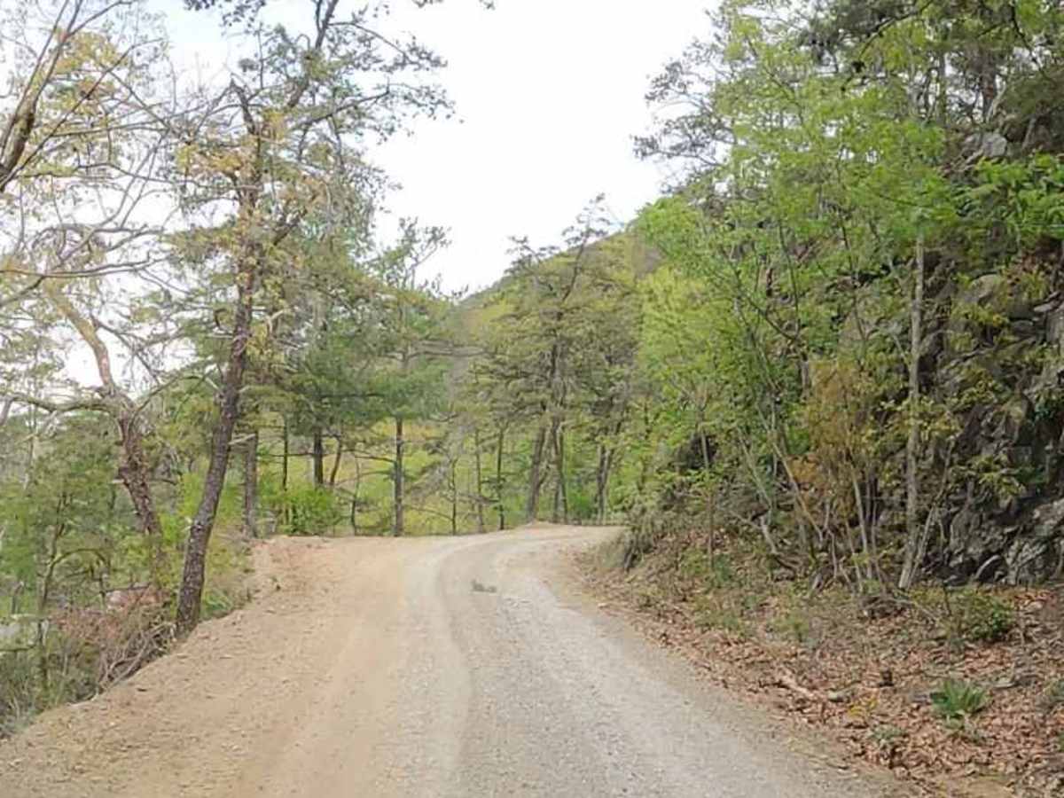 Cove Creek Road photo 3