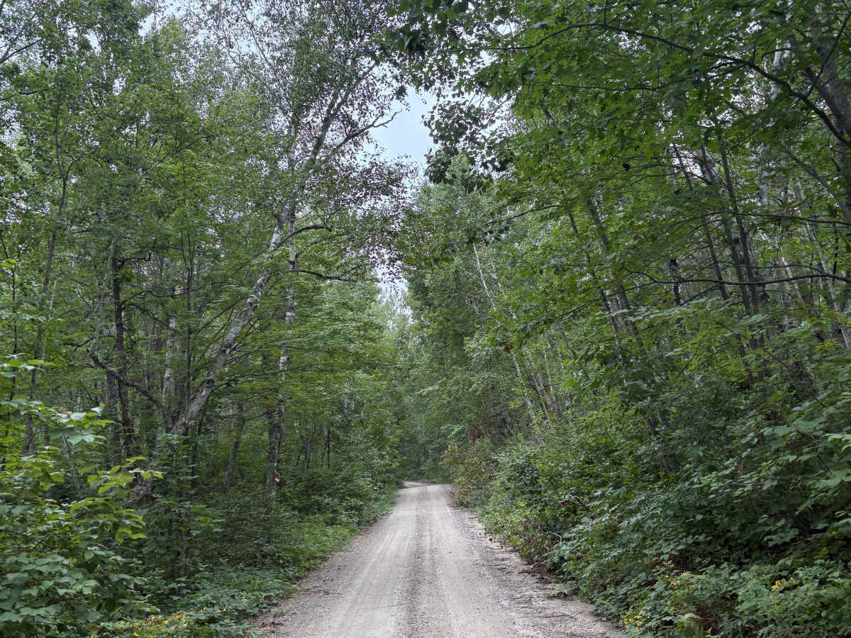 Heart Lake Trail photo 6