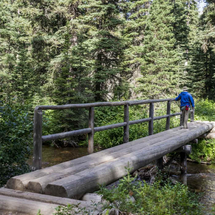 Near Upper Two Medicine Lake Hike