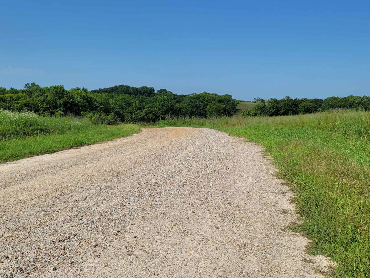 Rick Evans Grandview Prairie WMA Auto Route photo 4