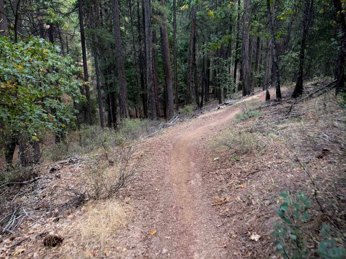 Fireline photo 6