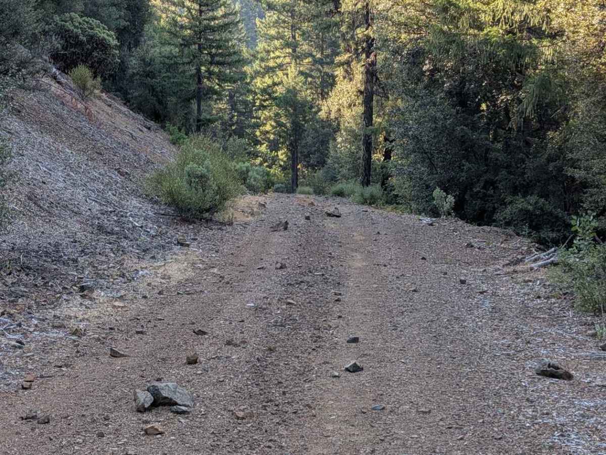 Creek Road - FS 29N57  photo 3