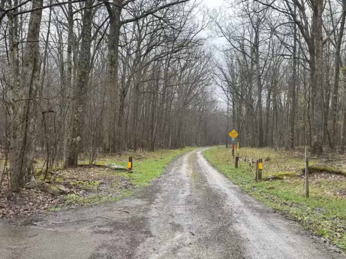 Elk Horn Run - FS 155 photo 2