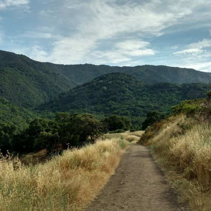 Near Quicksilver - McAbee Loop CCW