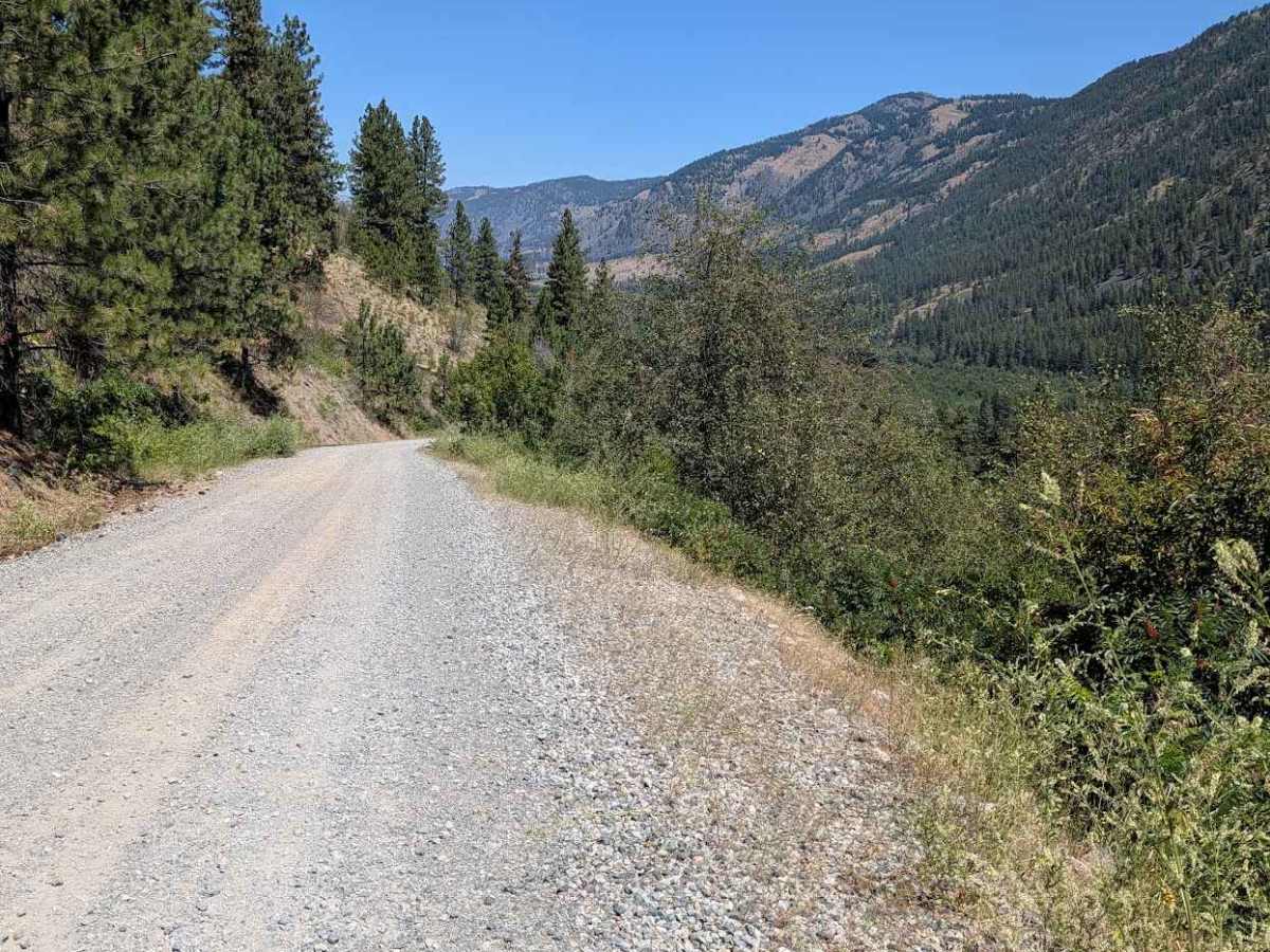 Sinlahekin Mainline Rd trail photo
