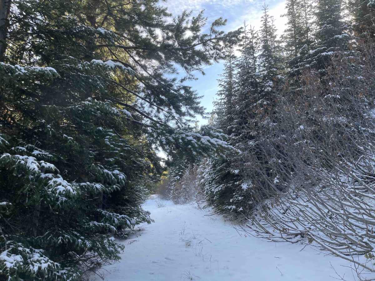Coal Creek ATV/UTV trail photo