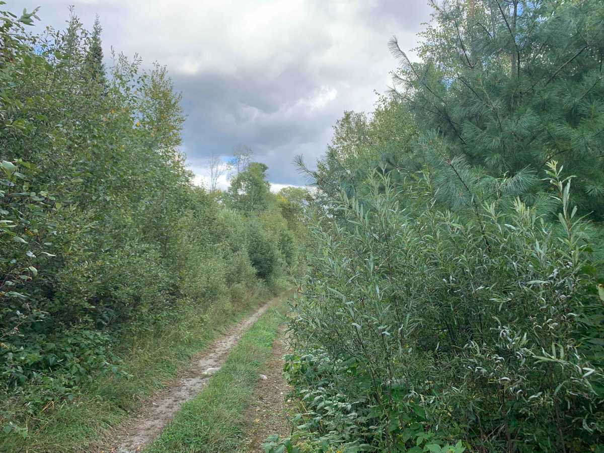 FS 606 photo 6
