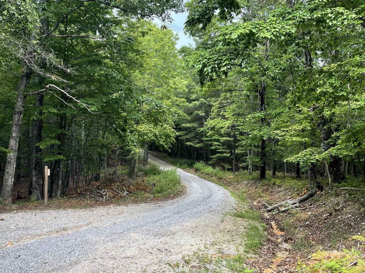 Fringer Trail photo 5